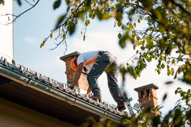 Best Roof Leak Repair  in La Nte, MO