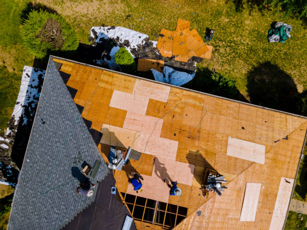 Best Roofing Contractor Near Me  in La Nte, MO