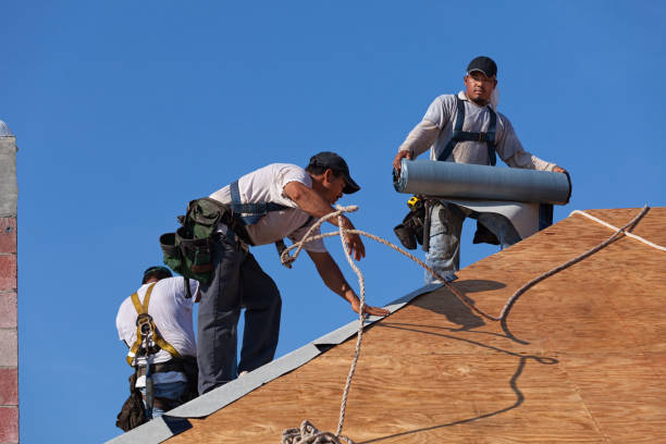 Best Commercial Roofing Services  in La Nte, MO