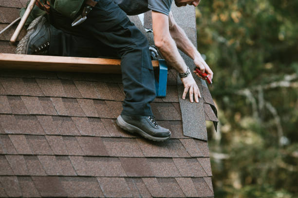 Best Roof Maintenance Services  in La Nte, MO